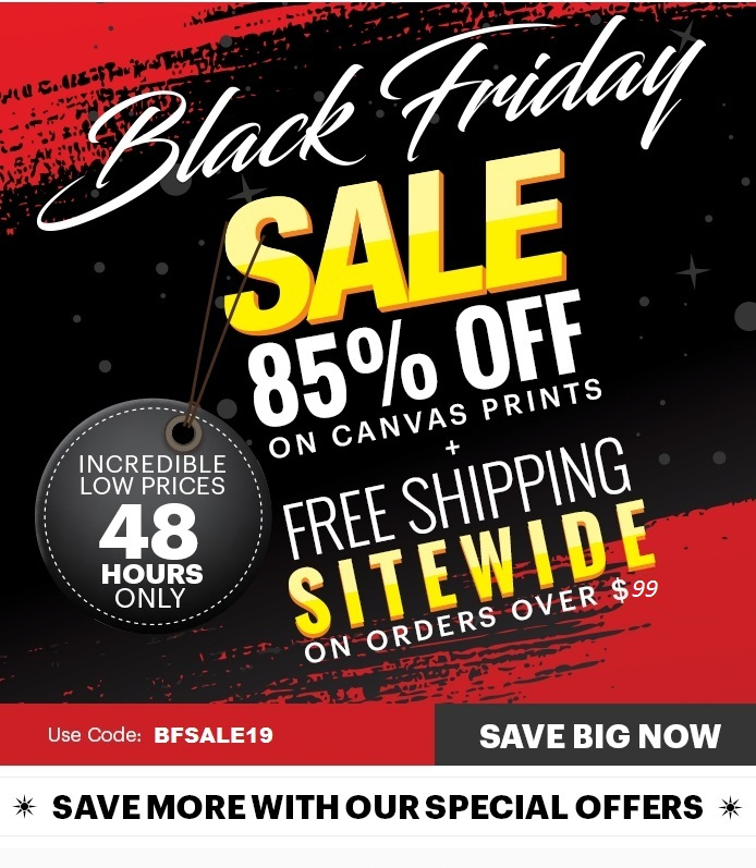 Black Friday Sale 2019