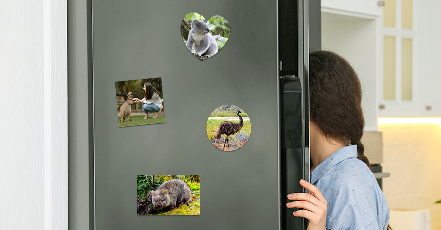 Animal Magnets for Australia Day