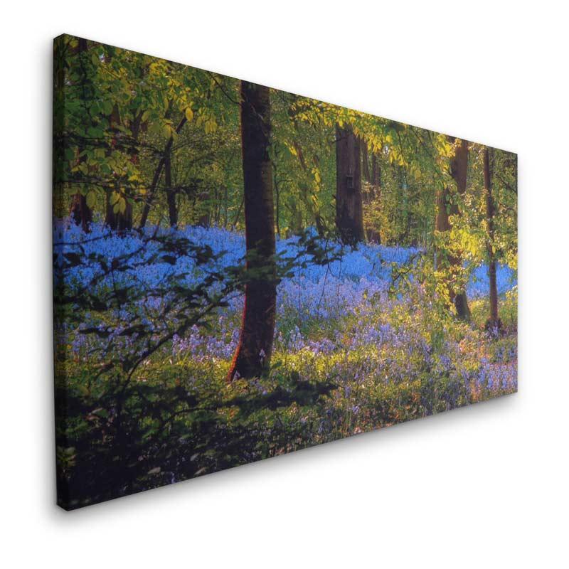 Panoramic Canvas Prints White Elephant Gift Idea